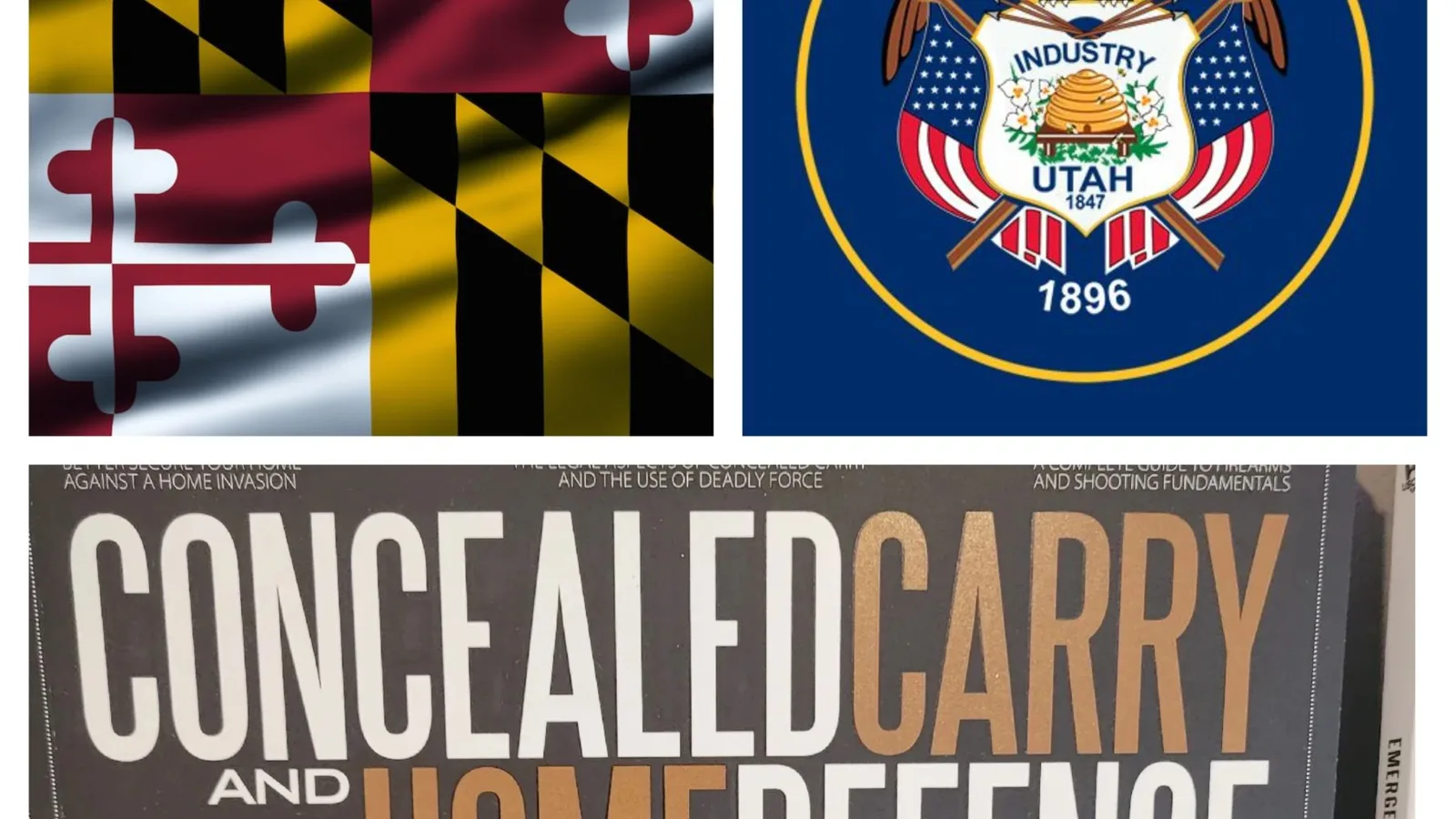 Combo 3# Maryland HQL, Utah and Concealed Carry